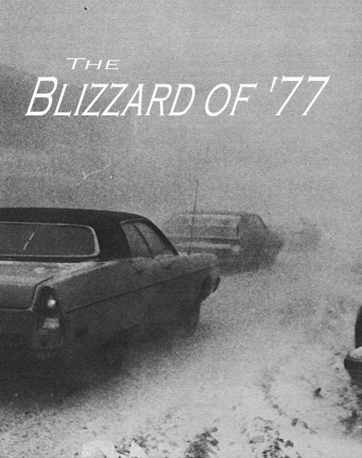 blizzar1.jpg (96073 bytes)