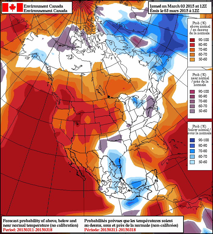 NAEFS 8-14 Temperature Anomaly Forecast