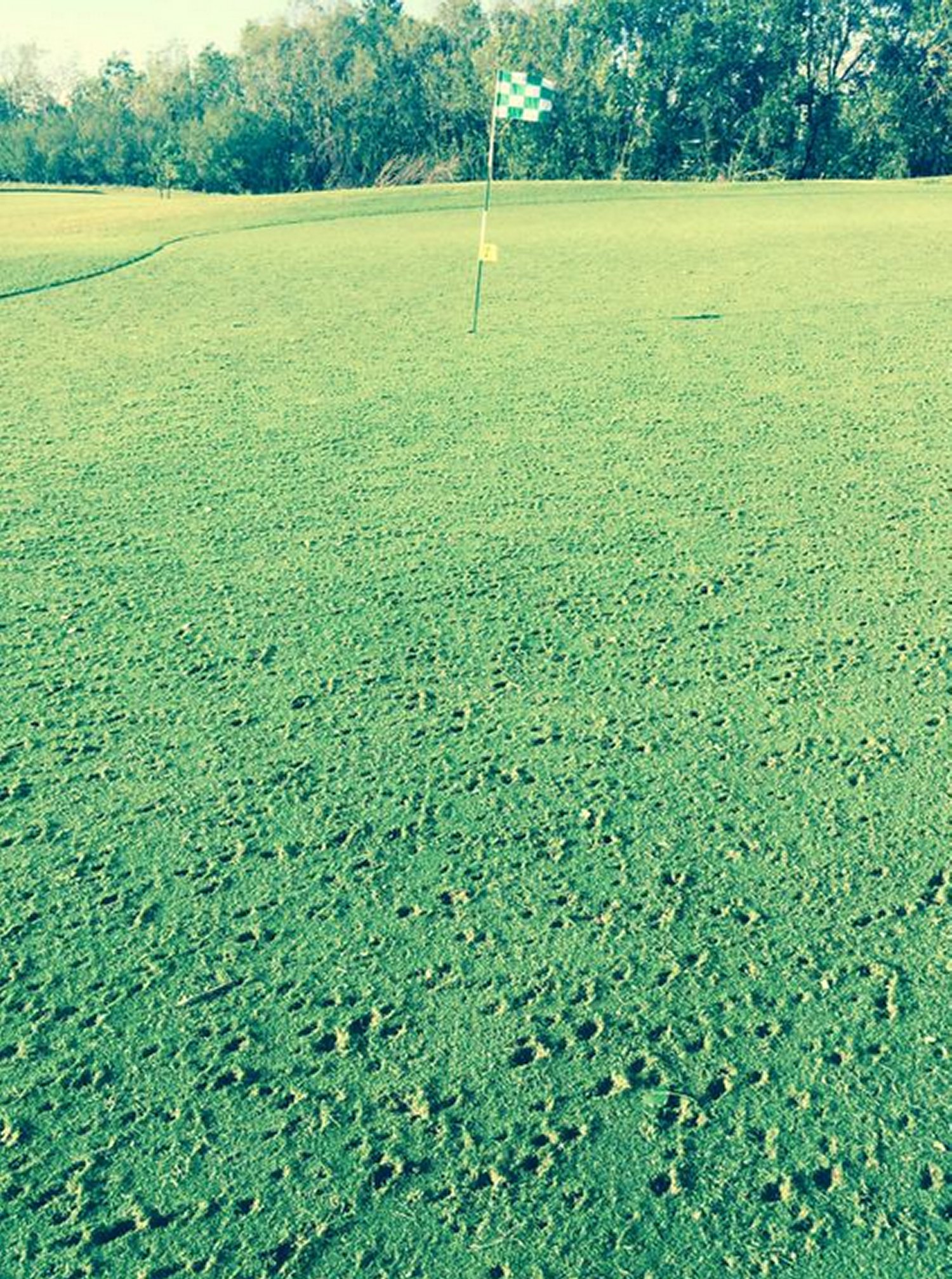 Golf green in Kerrobert, SK badly damaged by the hail. (Source: Twitter - @EarlsSalesMarc)