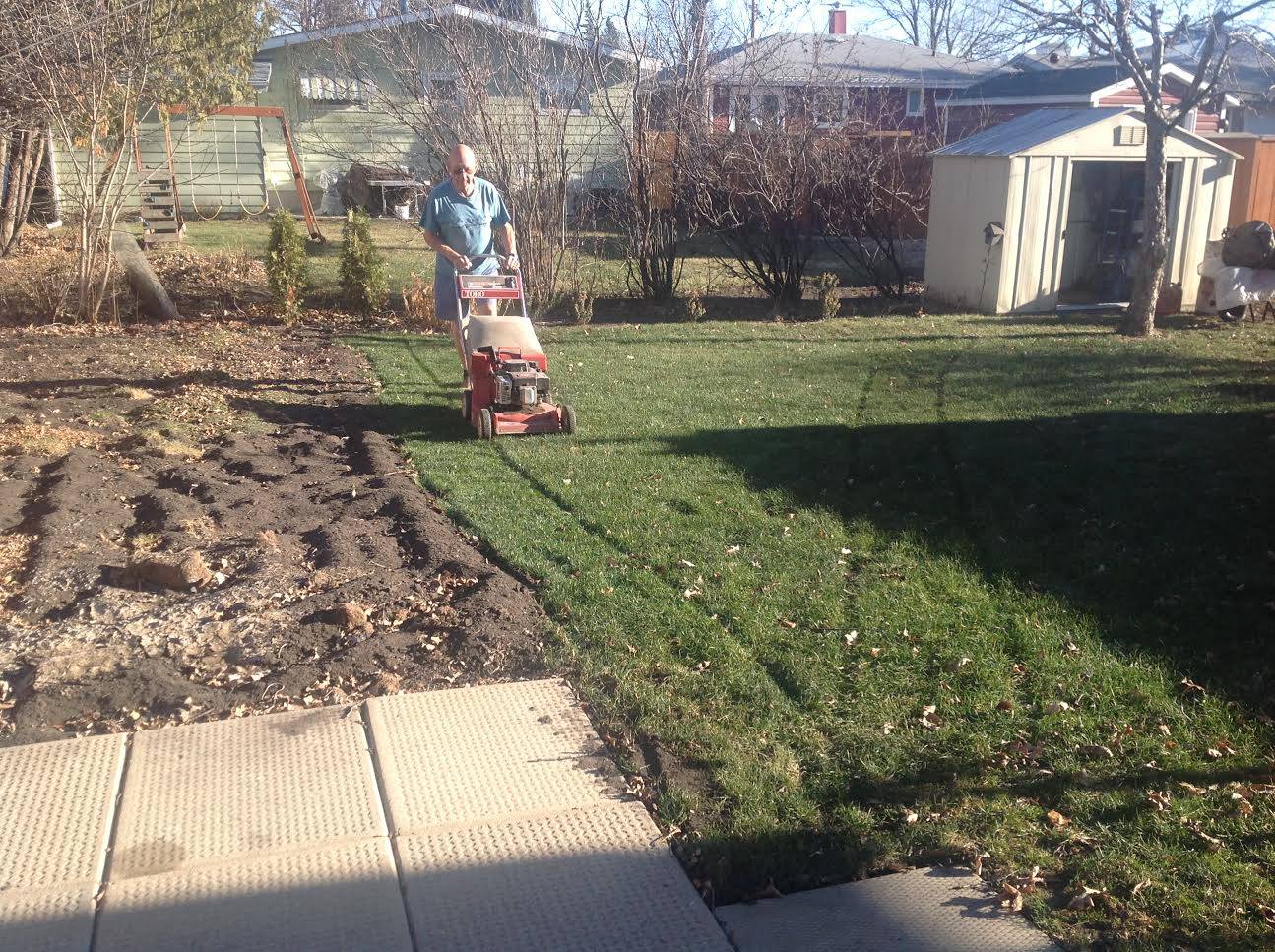 Morden, MB – Cutting grass in December.