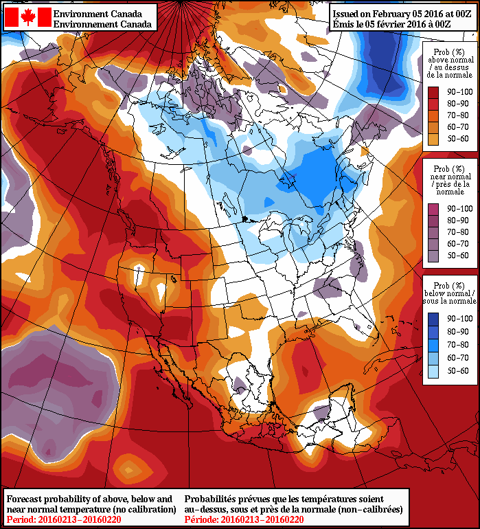 NAEFS 8-14 Day Temperature Anomaly Forecast — Valid February 13-20, 2016