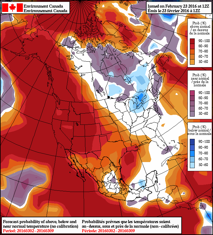NAEFS 8-14 Day Temperature Anomaly Forecast — Valid March 2 to March 9, 2016