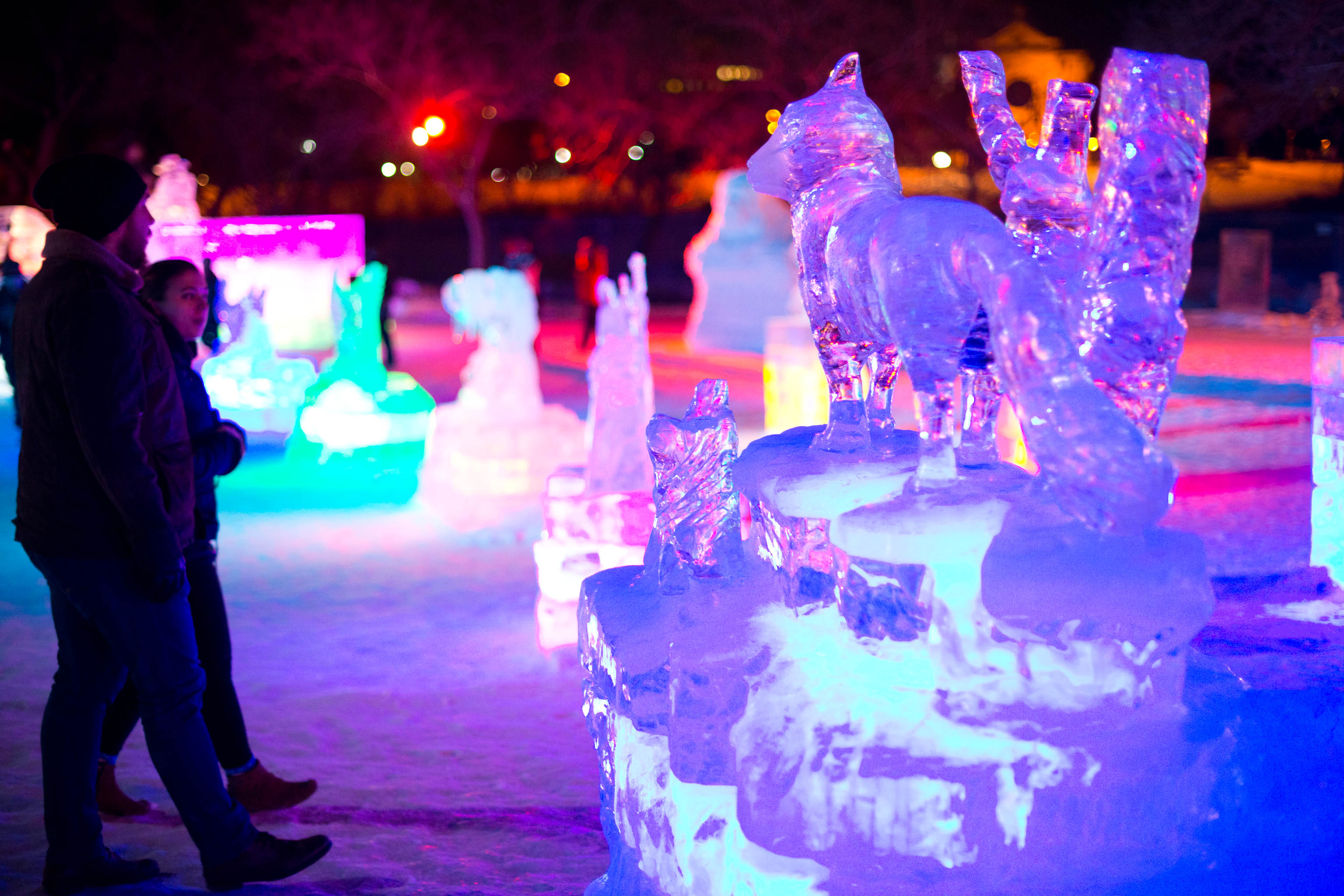 Winnipeg's Winter Ice Festival 2016