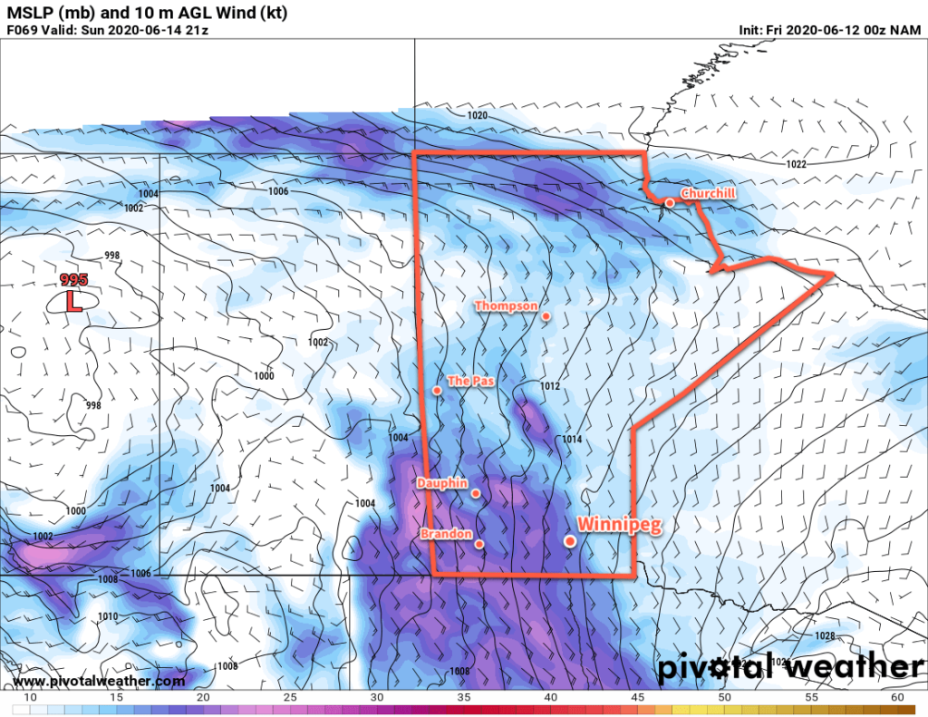 NAM 10m Wind Forecast valid 21Z Sunday June 14, 2020